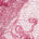 Chemical Mesh Lace Ribbon Embroidery Fabric SV576086 Mauve 1