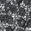 Daisy Floral Guipure French Venice Lace Fabric SV581018 Black 1
