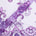 Rhinestone Floral Ribbon With Corded Sequined Vines On Mesh Fabric SV581761 Violet 1