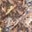 Floral Paisley Printed Tissue Faille Fabric SV581710 Black / Beige 1