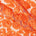Taffeta Ribbon Rosette On Mesh Fabric SV581183 Orange 1