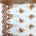 Spirit Bridal Lace Beaded Fabric SV570625 Gold 1
