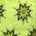 Double Layered Embroidery Pearl With Sequin On Organza Fabric SV576119 Lime Green 1