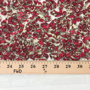 Multi Colored Ribbon Lace On Mesh SV574049 4
