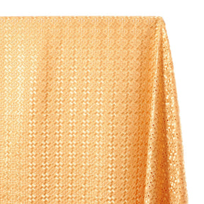 Cubic Embroidered Eyelet Fabric SV578288 Champagne 1