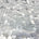 Square Dangling Sequins Fabric SV576585 Silver 1