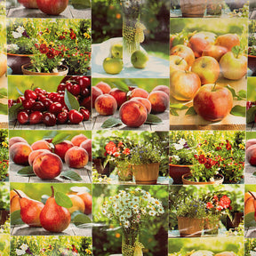 Picnic Oilcloth Fabric SV578092 2