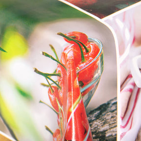 Temperate Fruit Oilcloth Fabric SV578095 1